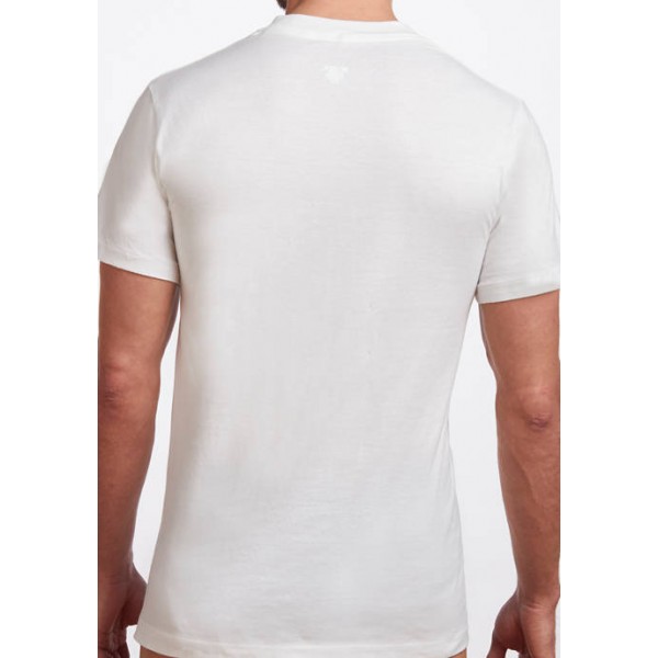 Stanfield's Men's Premium 100% Cotton V-Neck T-Shirt- 2 Pack