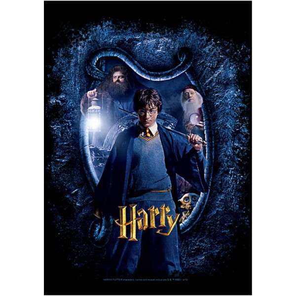 Harry Potter™ Harry Potter Chamber Harry and Sword Crew Fleece Graphic Sweatshirt