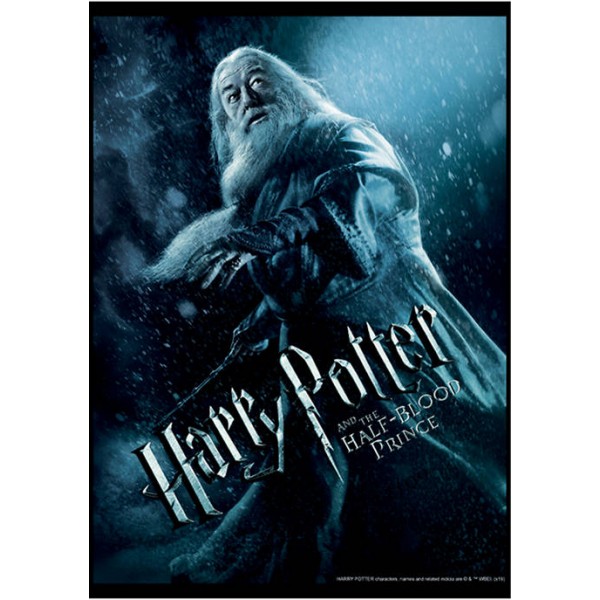 Harry Potter™ Harry Potter Dumbledore Poster Fleece Graphic Hoodie
