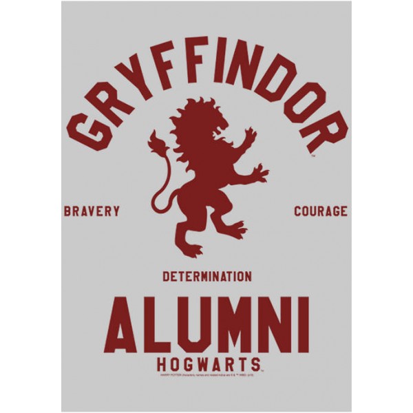 Harry Potter™ Harry Potter Gryffindor House Alumni Crew Fleece Graphic Sweatshirt