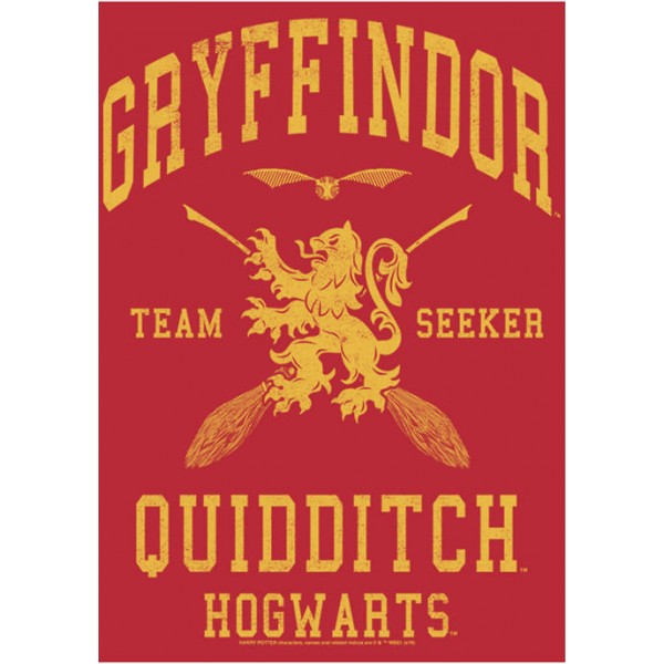 Harry Potter™ Harry Potter Gryffindor Quidditch Seeker Fleece Graphic Hoodie