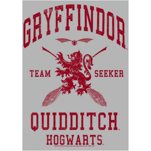Harry Potter™ Harry Potter Gryffindor Quidditch Seeker Fleece Graphic Hoodie