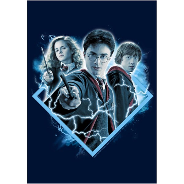 Harry Potter™ Harry Potter Potter Trio Crew Fleece Graphic Sweatshirt