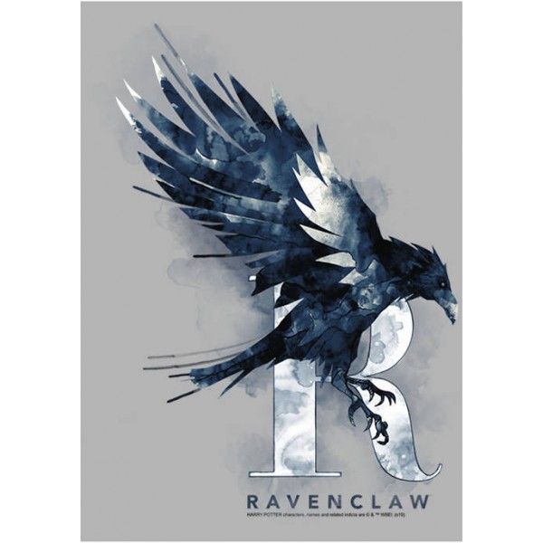 Harry Potter™ Harry Potter Ravenclaw Mystic Wash Fleece Graphic Hoodie