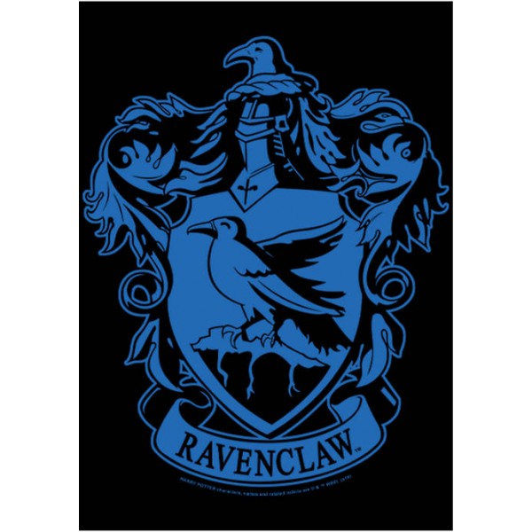 Harry Potter™ Harry Potter Simple Raven Fleece Graphic Hoodie