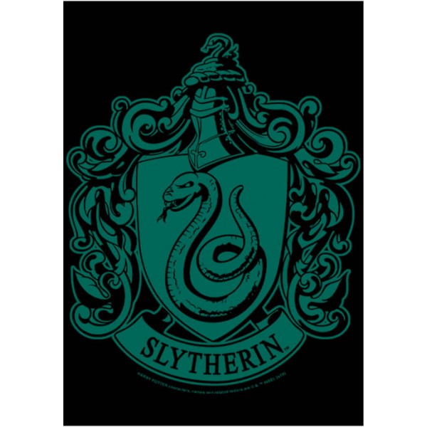 Harry Potter™ Harry Potter Simple Slytherin Crew Fleece Graphic Sweatshirt