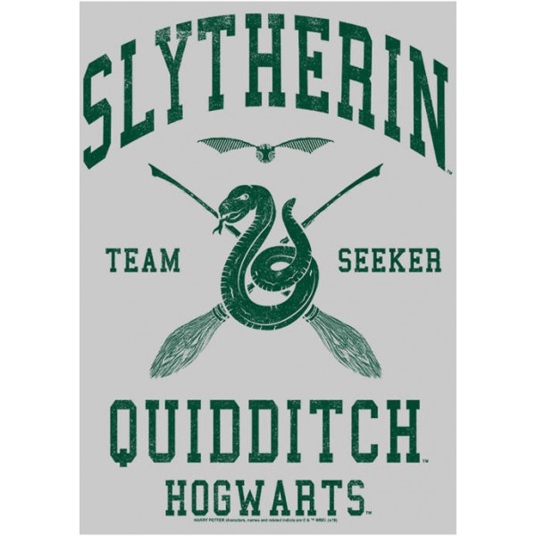 Harry Potter™ Harry Potter Slytherin Quidditch Seeker Crew Fleece Graphic Graphic Sweatshirt