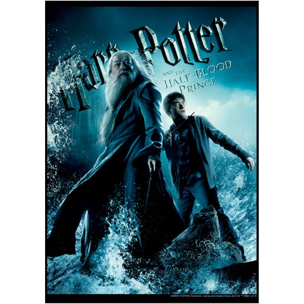 Harry Potter™ Harry Potter Harry & Dumbledore Poster Graphic T-Shirt