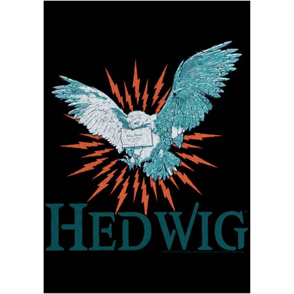 Harry Potter™ Harry Potter Hedwig Mail Graphic T-Shirt