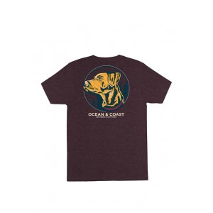 Ocean & Coast® Kuz Short Sleeve Graphic T-Shirt 