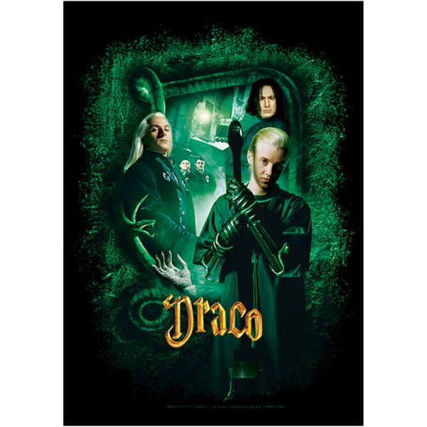 Harry Potter™ Harry Potter Chamber Draco Banner Graphic T-Shirt