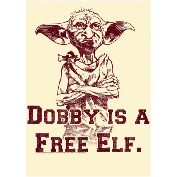 Harry Potter™ Harry Potter Dobby Free Elf Graphic T-Shirt