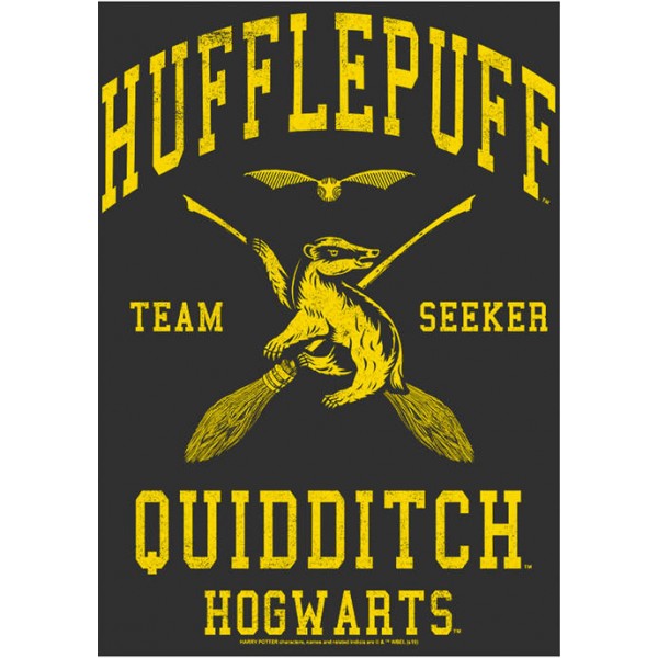 Harry Potter™ Harry Potter Hufflepuff Quidditch Seeker Graphic T-Shirt