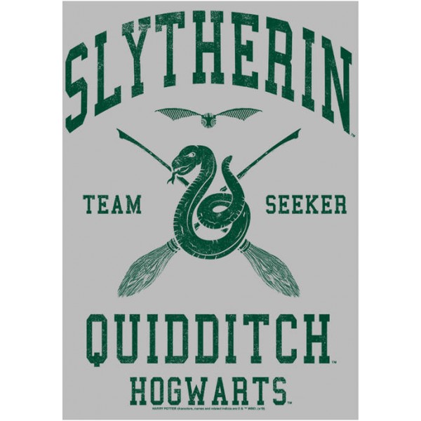 Harry Potter™ Harry Potter Slytherin Quidditch Seeker Graphic T-Shirt